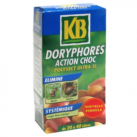 Doryphores Action Choc